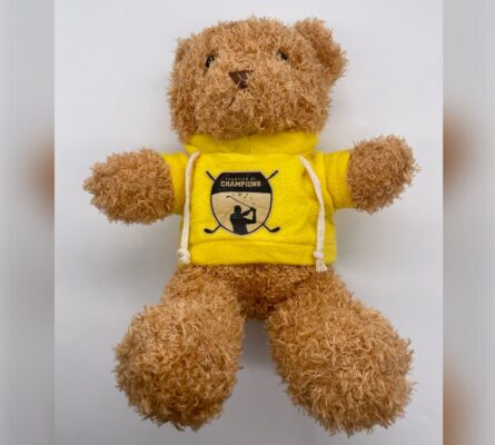 Champion of Champions Teddy