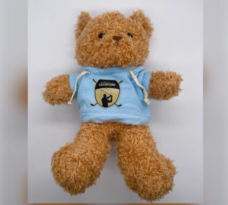 Champion of Champions Teddy