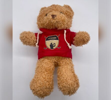 Champion of Champions Teddy